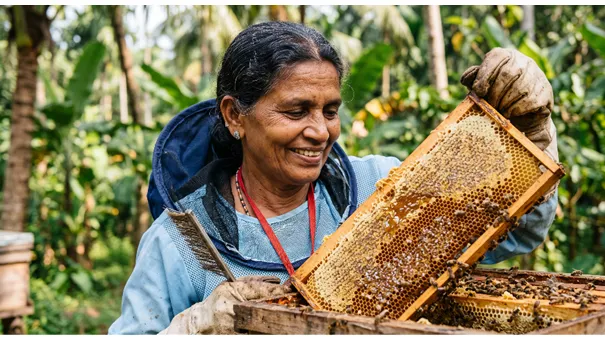 Behind the Jar : Everything About Our Honey